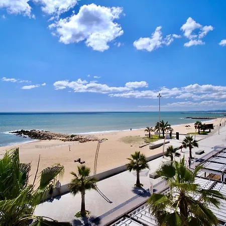 Premium Beachfront With South Facing Terrace